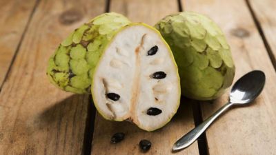 Cultivos tropicales en España