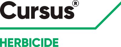 Brand_Logo
