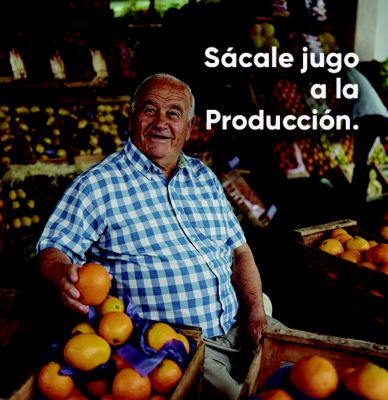 IMG-Cítricos-LA-MX-V1