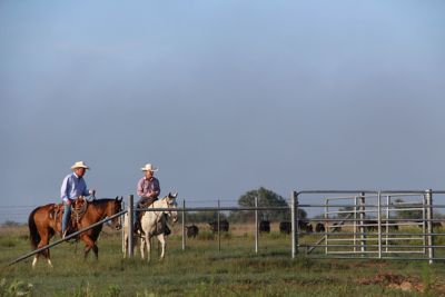 David Crow and Matt Crow on horseback