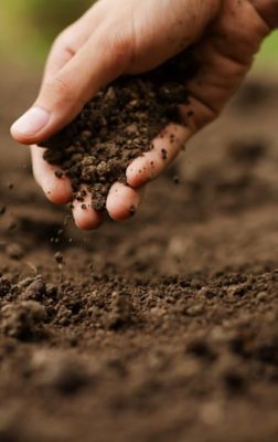 Close up of hand holding soil