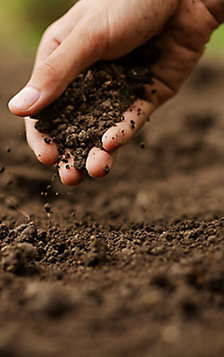 Close up of hand holding soil