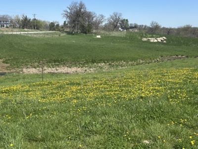 DeBruin_UltiGraz-treated grass on the far hill
