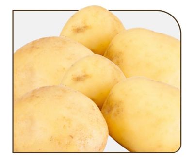 batata