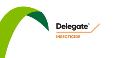 Delegate - timing is everything