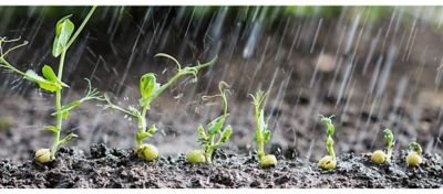 IMG-Dia-del-agua-EU_ES-V1-11zon