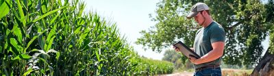 Man on edge of corn field - Digital Solutions