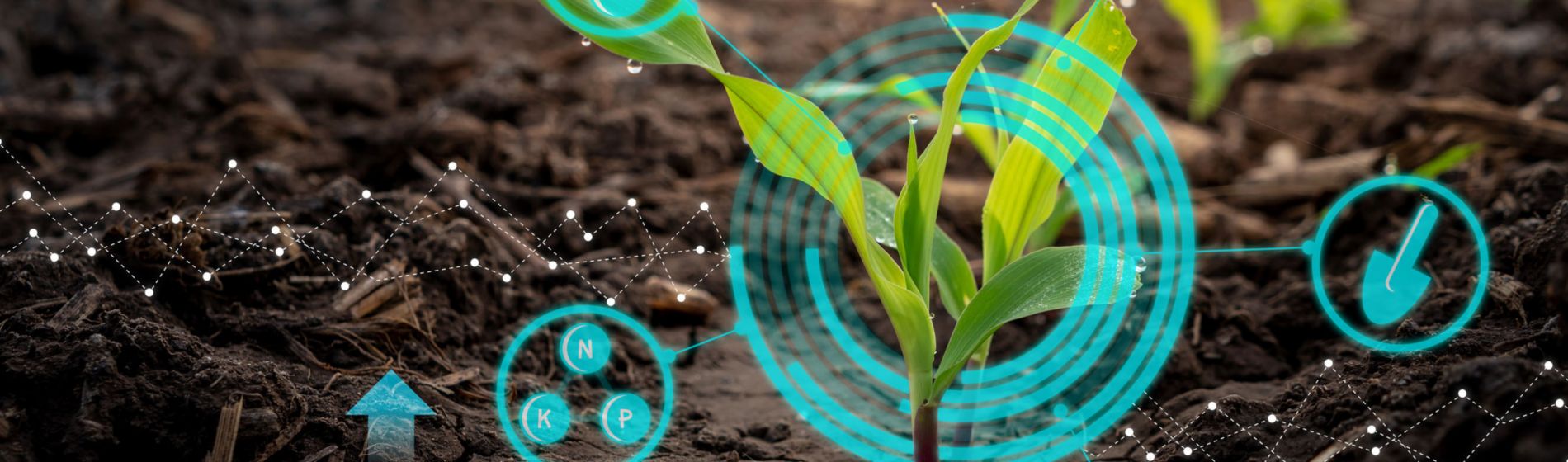 Digitalización en el campo