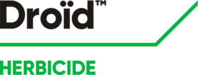 Brand_Logo