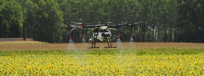 Dron en pleno rendimiento sobre un cultivo