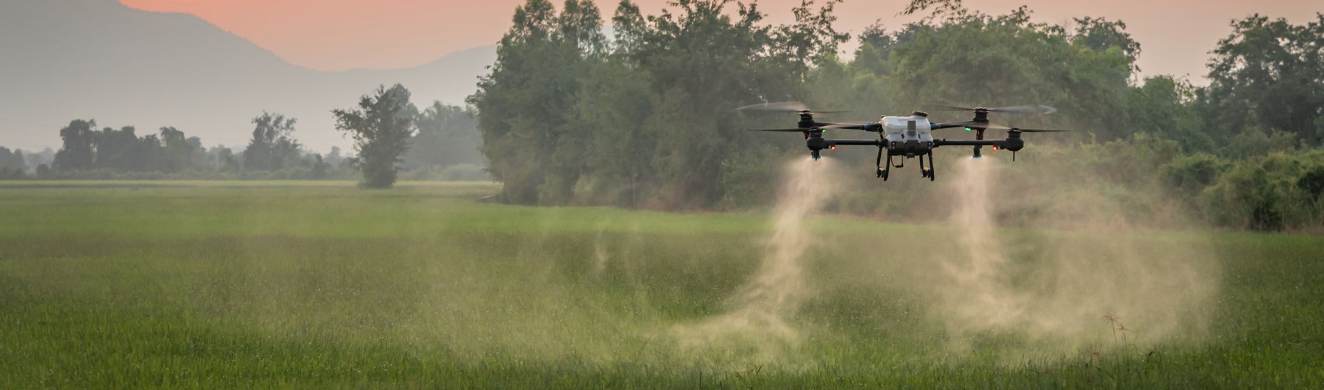 drone spraying fields