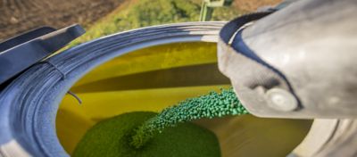 Photo - soybean seed pouring into planter