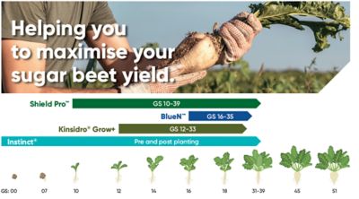 Helping you to maximise your sugar beet yield