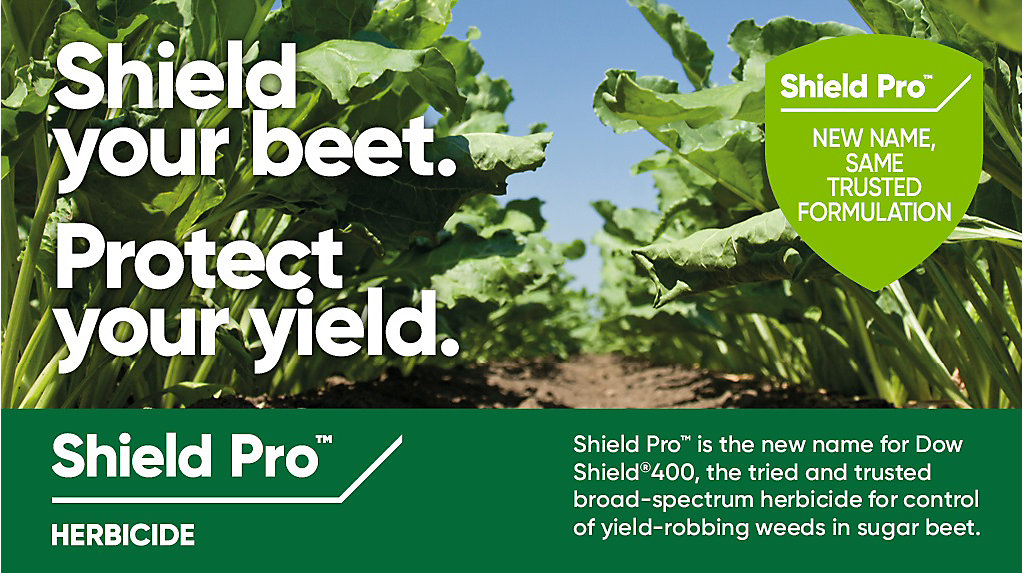 Shield Pro