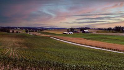 Planter in field - ground view
