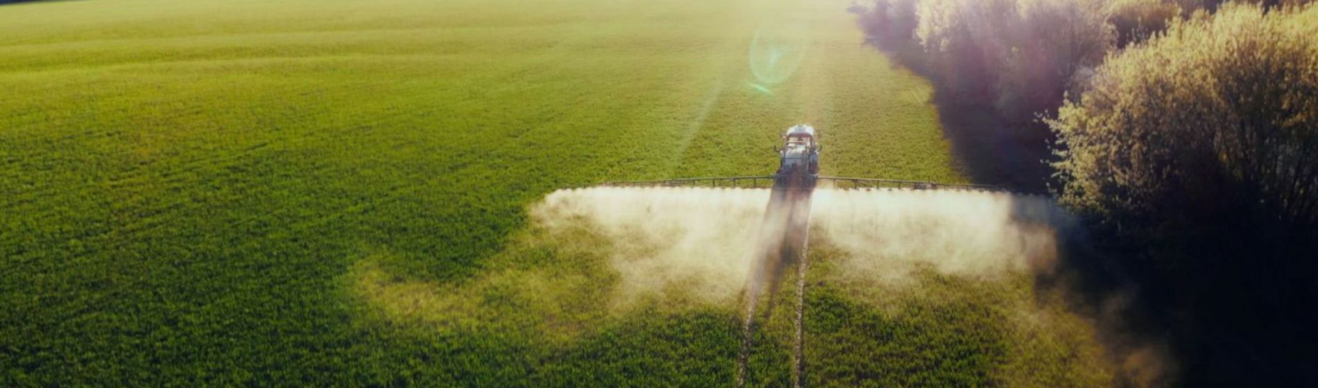 Día Mundial del Suelo