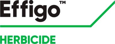 Brand_Logo