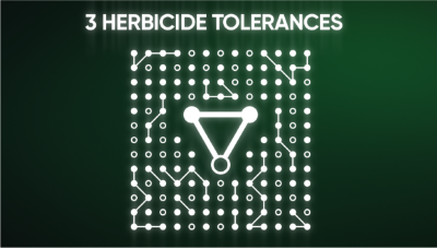 Illustration - Enlist E3 - 3 Herbicide Tolerances