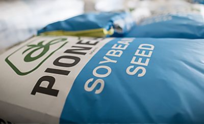 Soybean seed bags