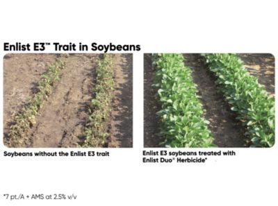 Enlist herbicide comparison