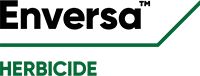 Enversa logo