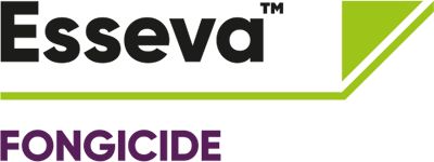 Brand_Logo