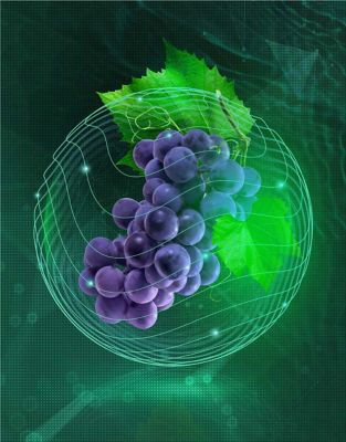 Esseva™, solution de biocontrôle naturelle