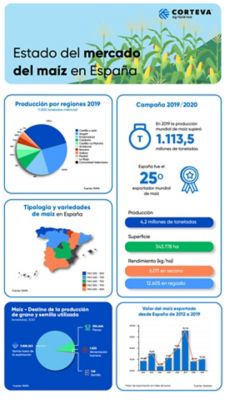 Estado del Mercado Infografia