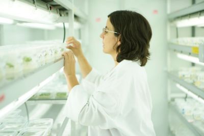 Mujeres científicas - Eva Guzmán