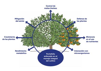 Portafolio enfocado en el manejo integral del cultivo