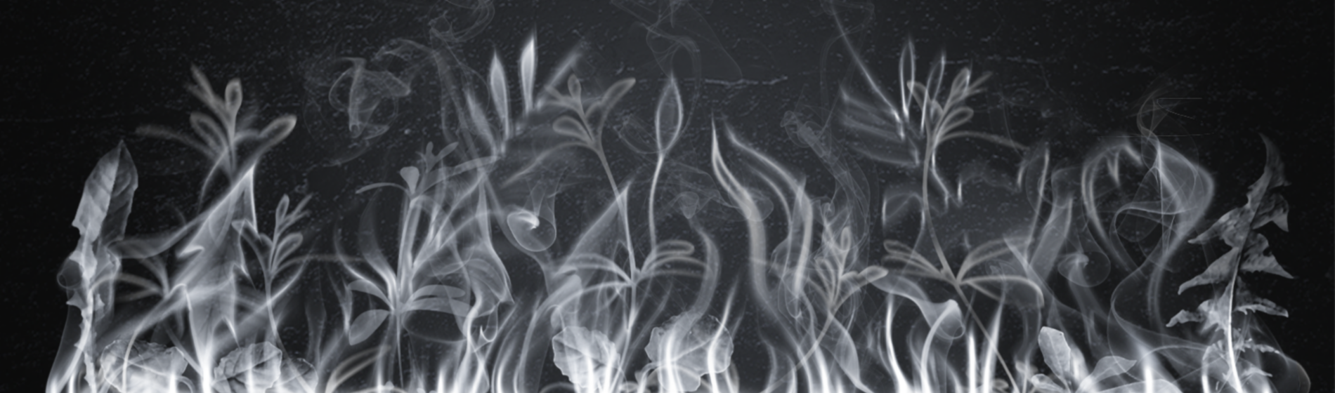 brand creative for extinguish