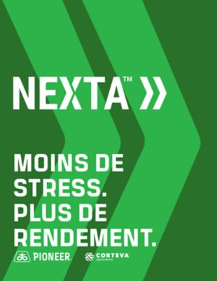 East French NEXTA Guide 