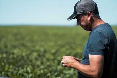 Farmer examing plants in field closeup