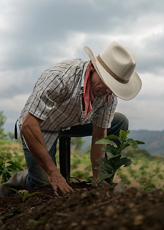 A farmer kneels on the ground in a field, planting a crop with a shovel next to him.