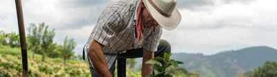 Farmer Planting Crop