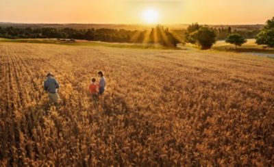 Farmer family standing in their wheat field at sunset - Timeline of crop protection advances