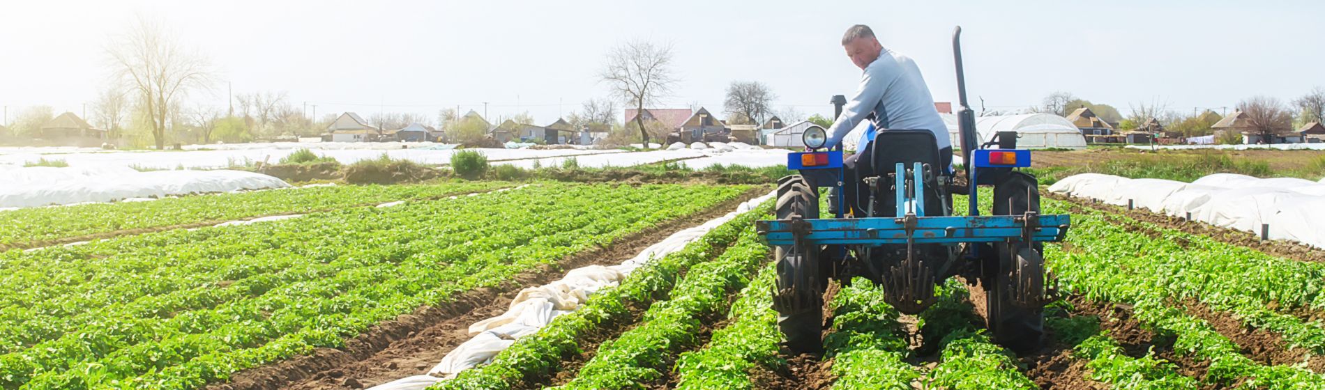 Farmer operating a blue tractor through green crop rows in a large agricultural field under a bright blue sky, showcasing sustainable farming and on-farm efficiency practices.