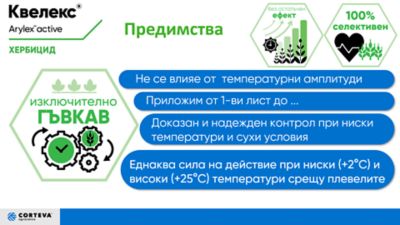 IMG-Flexible-Corteva-EU-BG-V1