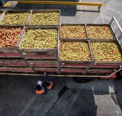 crates of berries stacked up - view from above