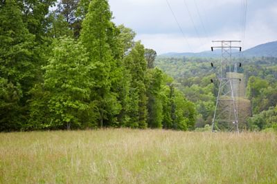 Georgia utility