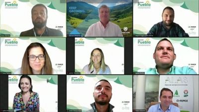 Ganadores del Programa Puebla 2021