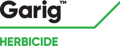 Brand_Logo