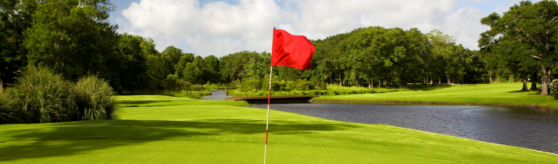 Golf course view from green