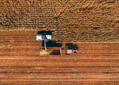 Grain corn Aerial