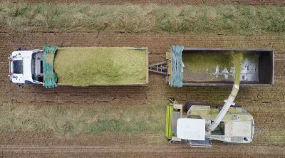 IMG-Gras_Stabilizer-Pioneer-V1