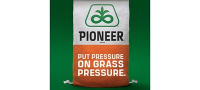 Sorghum seed bag - put Pressure on Grass Pressure