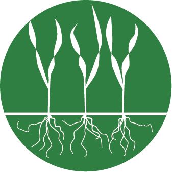 grass germinated icon