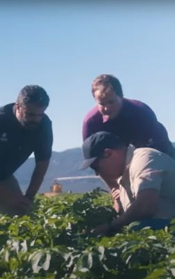 three men examining plants in a field