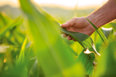 Meet the Pioneer Agronomy Team
