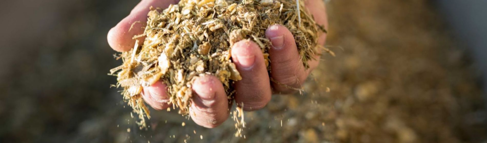 IMG-Hand-Holding-Silage-Pioneer-UK-EN-V1.jpg